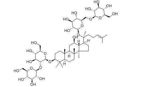 NMN是如何帮助人们获取到健康的密码的