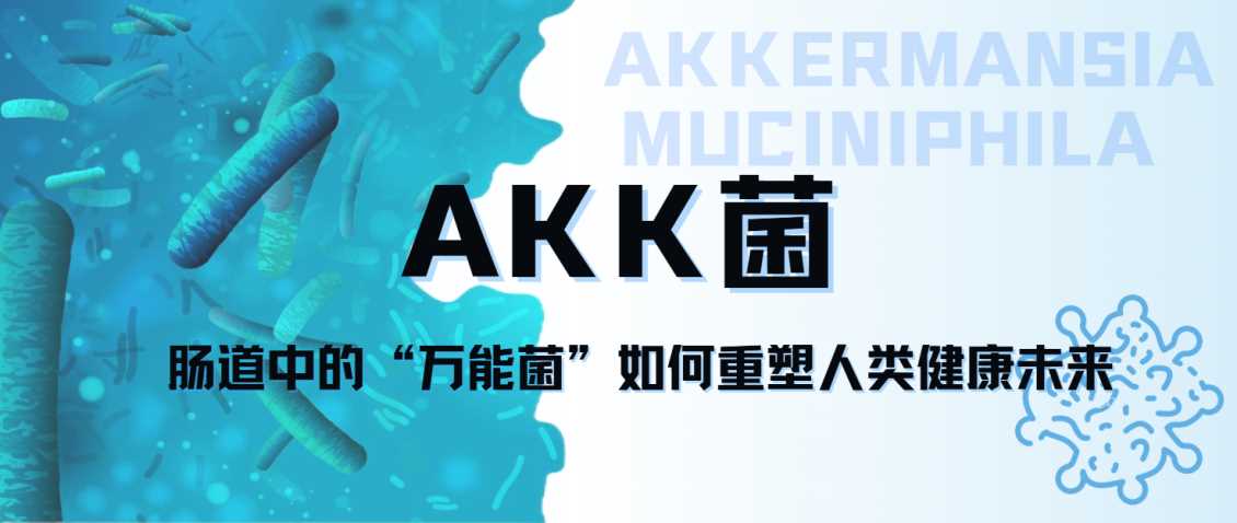 AKK菌：肠道中的“万能菌”如何重塑人类健康未来,进口AKK菌代工，AKK益生菌代加工，进口益生菌OEM（香港工厂海外膳食补充剂全链路OEM定制代工）